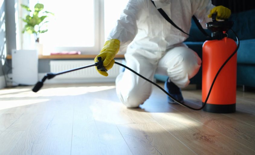 isinfection-of-premises-from-insects-and-rodents-with-chemicals.jpg_s1024x1024wisk20cRBXJHJNTAvLNTJG-Nt5nSB2xkUfRlIdP8kM_UtmPyH0-1